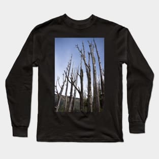 tree trunks Long Sleeve T-Shirt